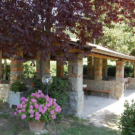 프라토베키오 Agriturismo Il Piano 빌라 외부 사진