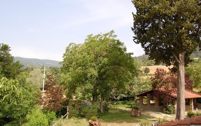프라토베키오 Agriturismo Il Piano 빌라 외부 사진